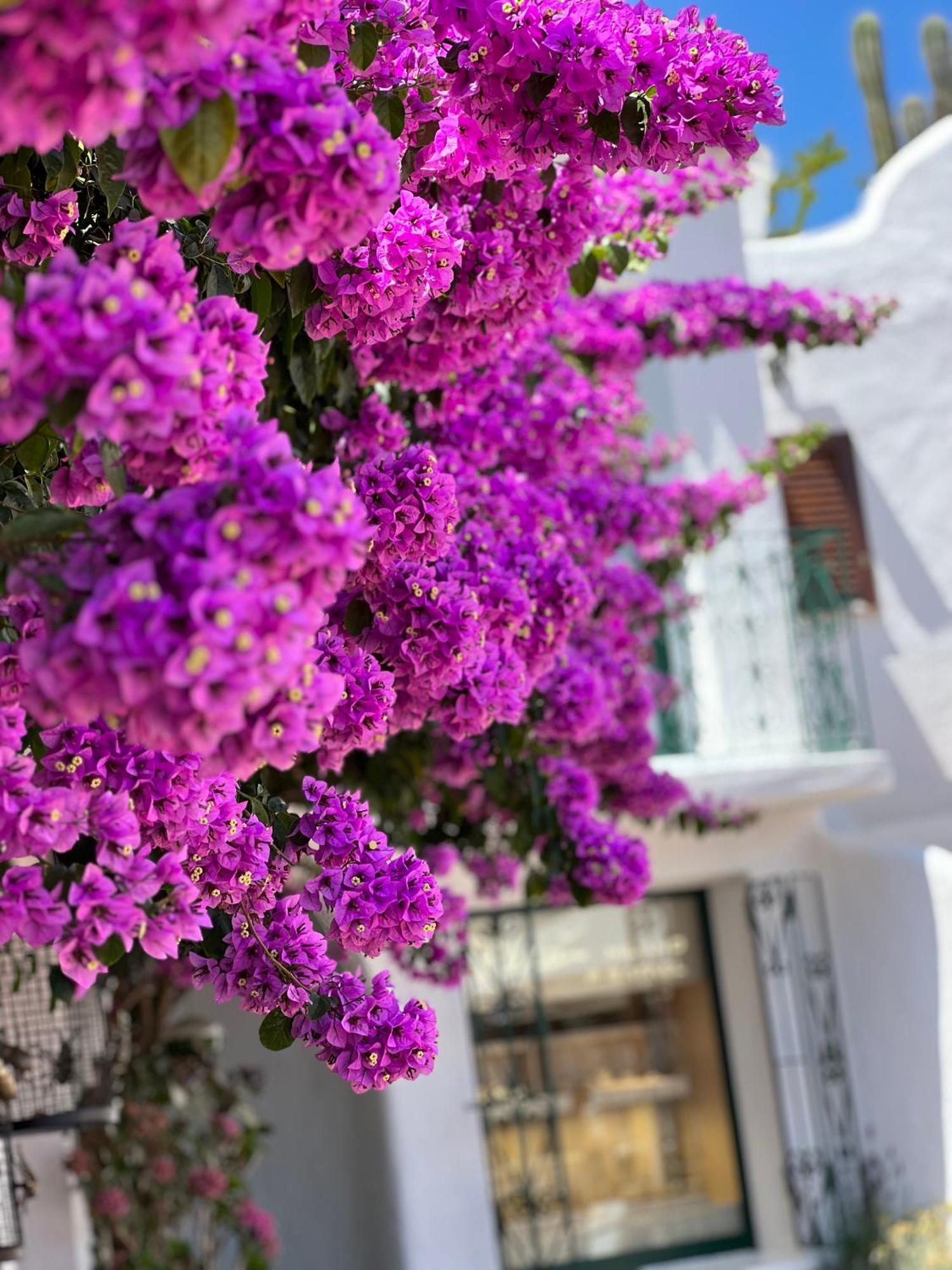 Boutique Hotel Solaz Порто Рафаель Екстер'єр фото